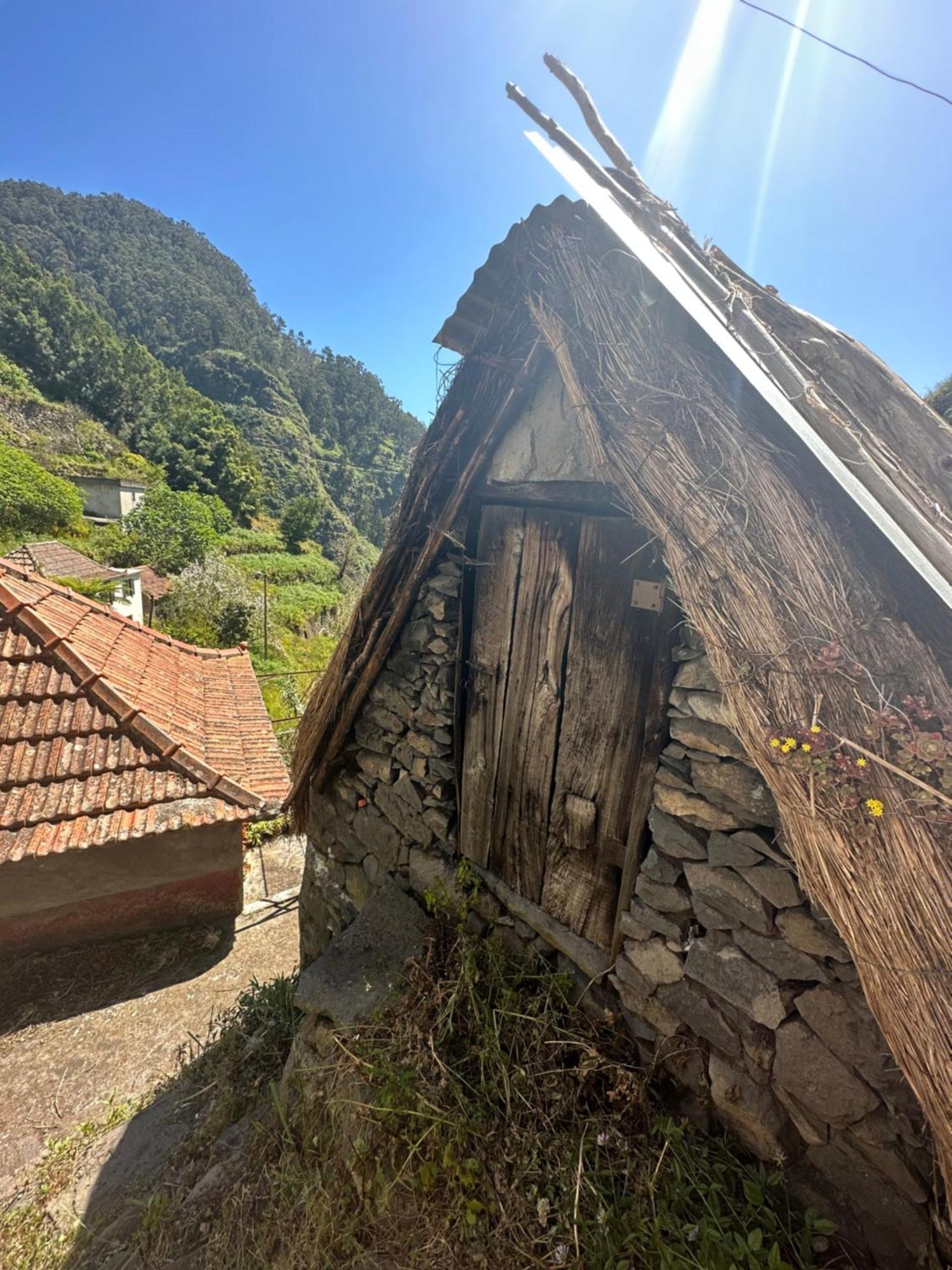 The Green Valley House São Vicente Dış mekan fotoğraf