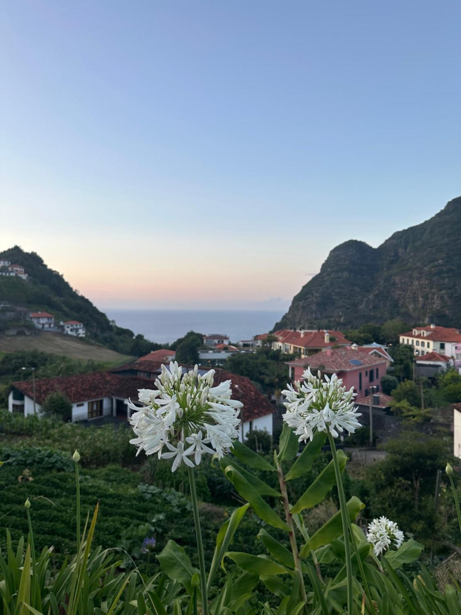The Green Valley House São Vicente Dış mekan fotoğraf